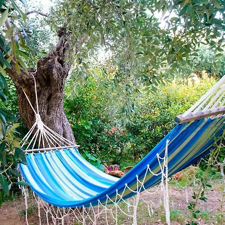 Il Giardino *